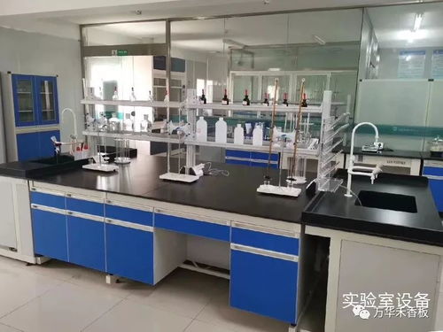 學習專業技能，提升服務水平，助力客戶2020再創新高