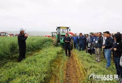 全國牧草（燕麥飼草）生產全程機械化推進活動在青海圓滿舉行，助力畜牧設備技術升級